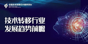 技術(shù)轉(zhuǎn)移行業(yè)發(fā)展趨勢前瞻 以技術(shù)開發(fā)為核心驅(qū)動